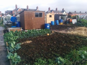 IMG_20141025_115618_1