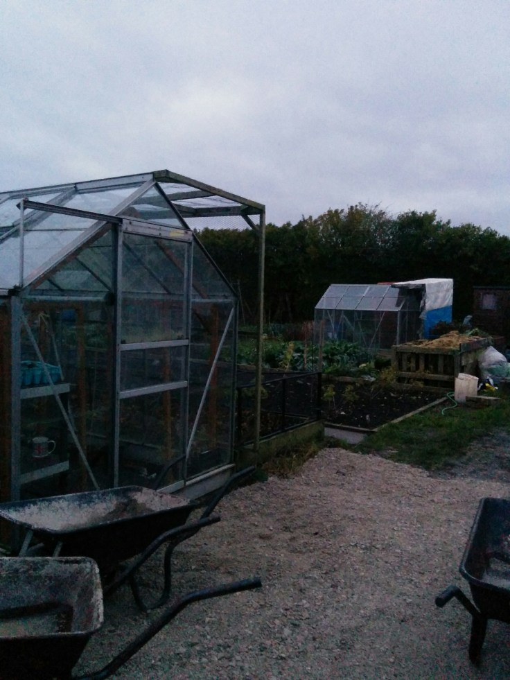 IMG_20141217_160331.jpg image