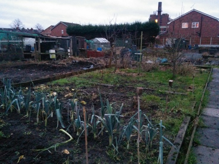 IMG_20141217_160410.jpg image