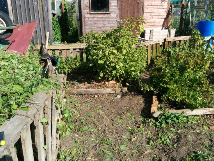 wp-1438421043911 image