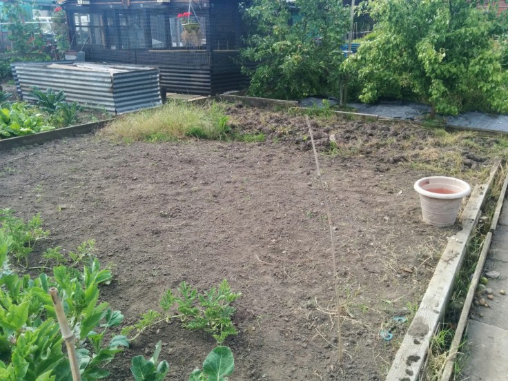 wp-1438421382899 image