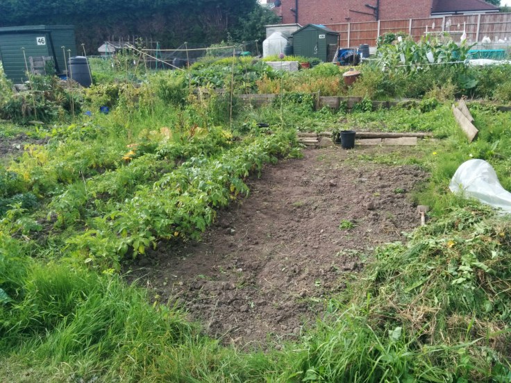 wp-1438421644787 image