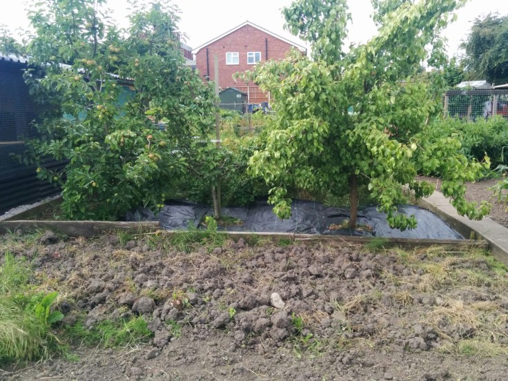 wp-1438421671467 image