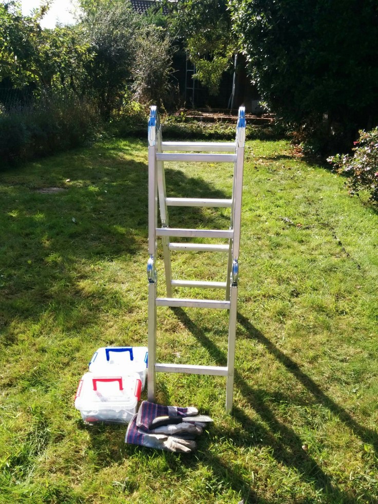 wp-1442948649232 image